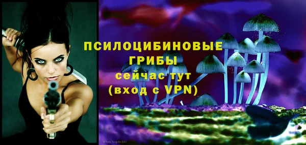 тгк Кущёвская