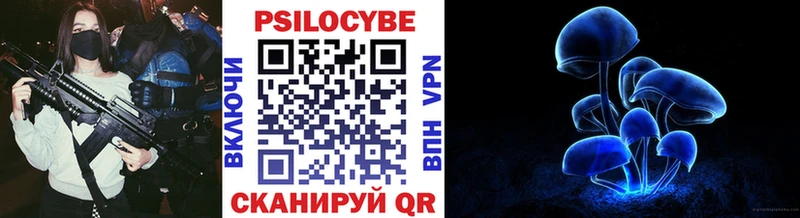 Псилоцибиновые грибы Cubensis  Макушино 